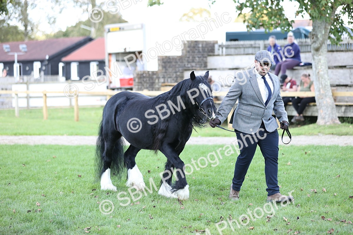 SBM_26251 - S5 - Novice & Newcomers In Hand
