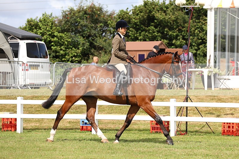 3E7A9280 - Class 4: Rising Star M/H Hunter