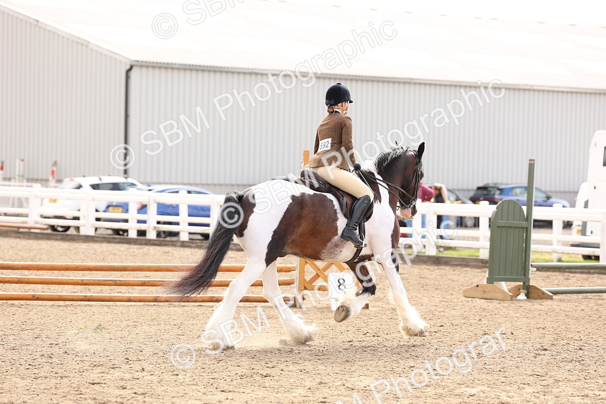 SBM_04269 - Class 54 - Riding Club Horse/Pony