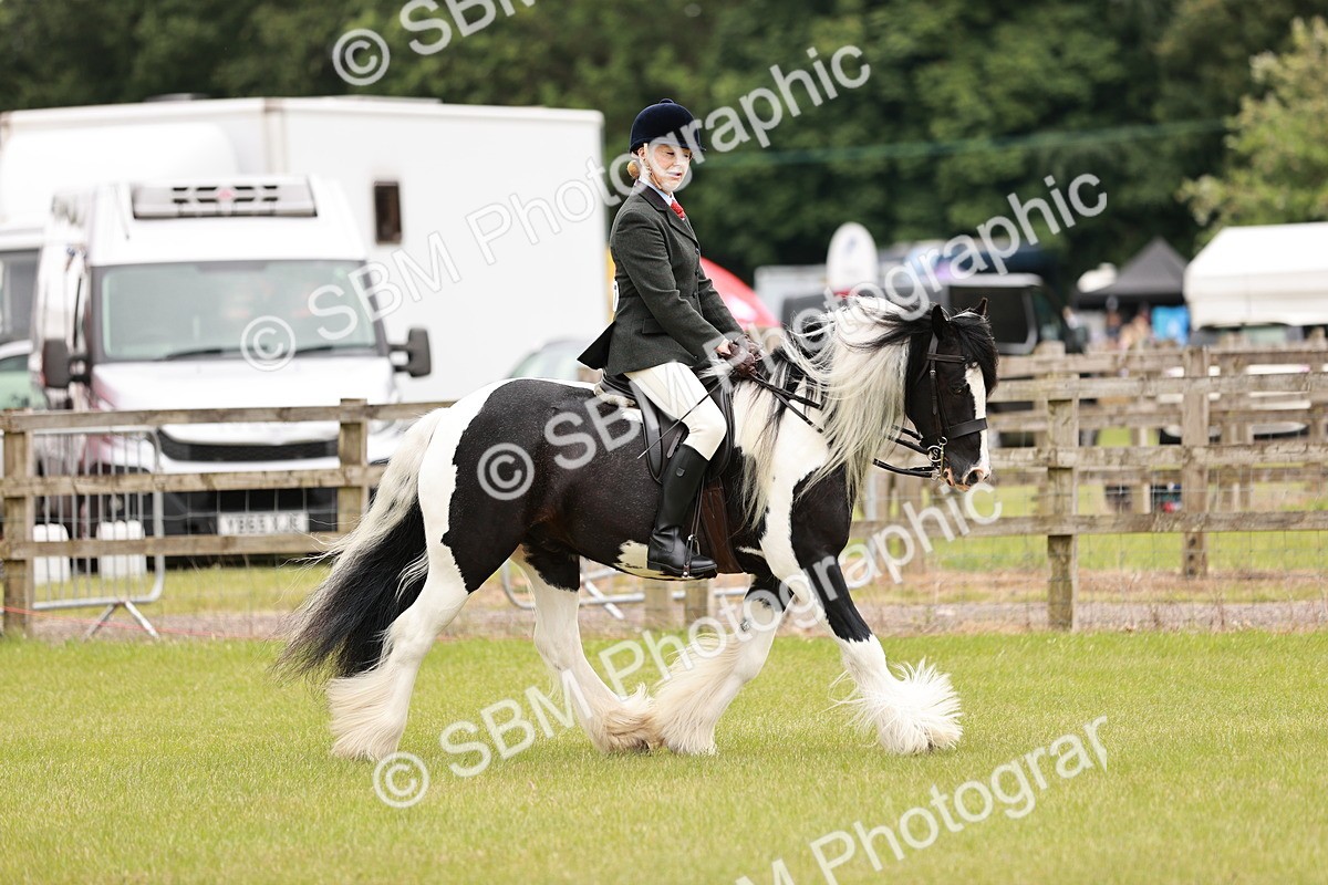 SBM_06173 - Class 39-41 TGCA In Hand and Ridden