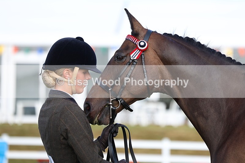 3E7A8373 - Class 2: Rising Star Large Hack/Riding Horse