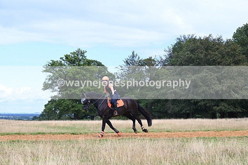 DSC_8836 - Time at Statue 14:33 to 15:10