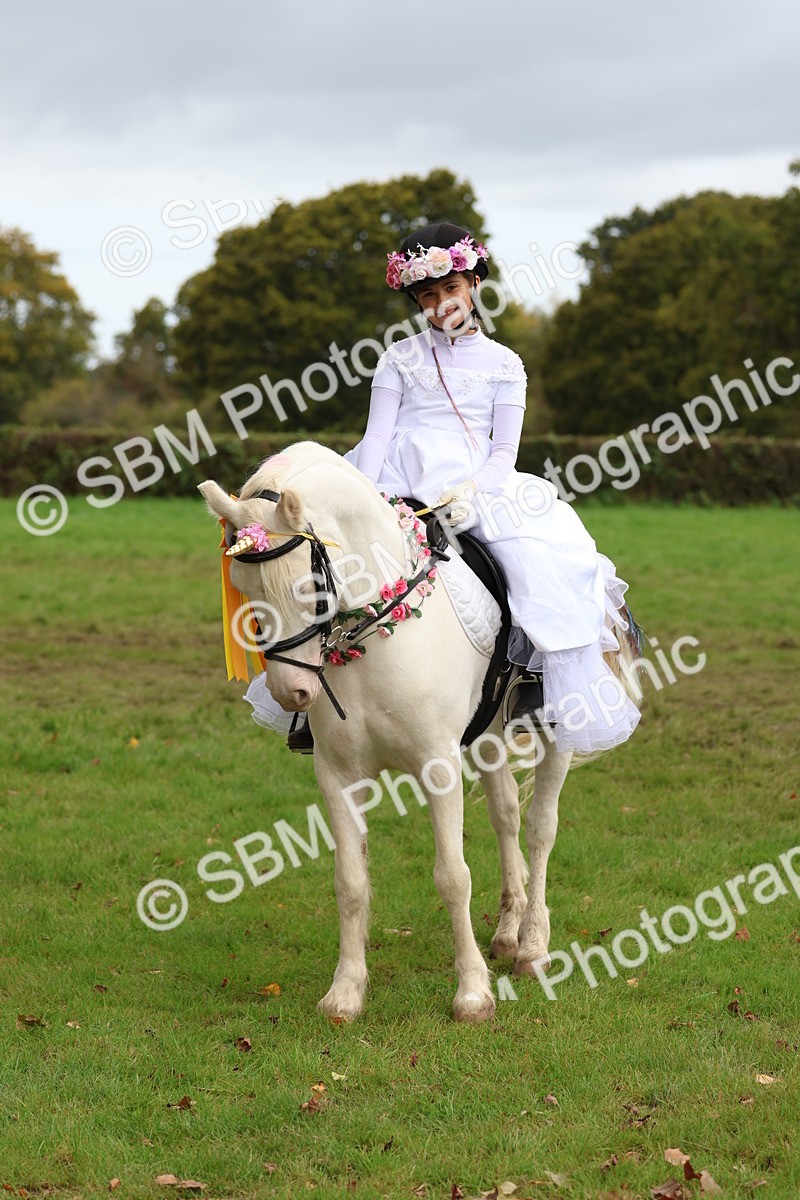 SBM_62230 - S37b - Best Unicorn