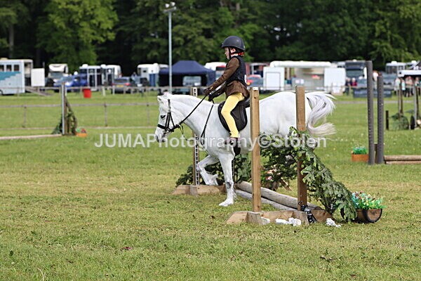 IMG_2355 - Working Hunter