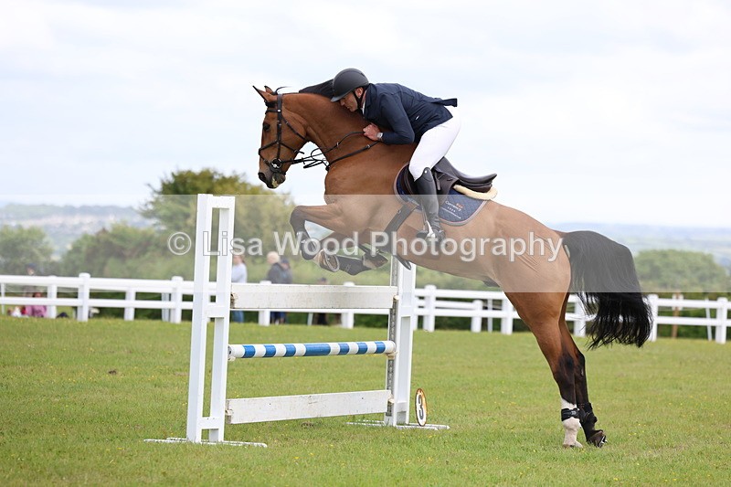 3E7A7043 - Class 12: Senior Foxhunter/1.20 open