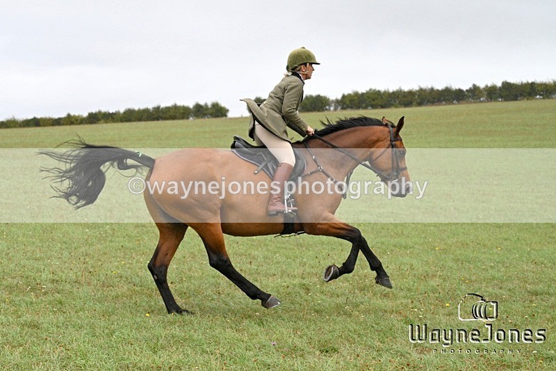 WJ7_1122 - Berks & Bucks Hound Exercise Blewbury 13-09-26
