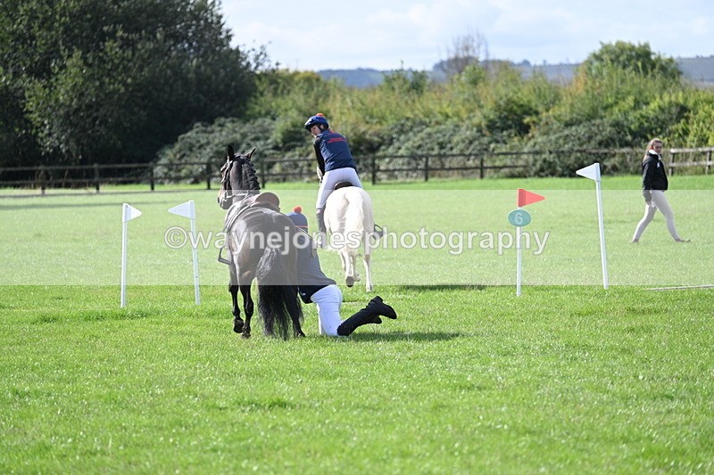 WJ7_8537 - 60cm Pairs