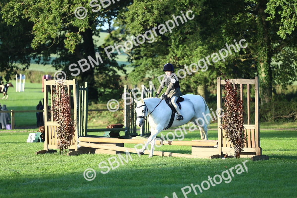 SBM_31692 - S28 - Nursery Stakes Working Hunter Pony