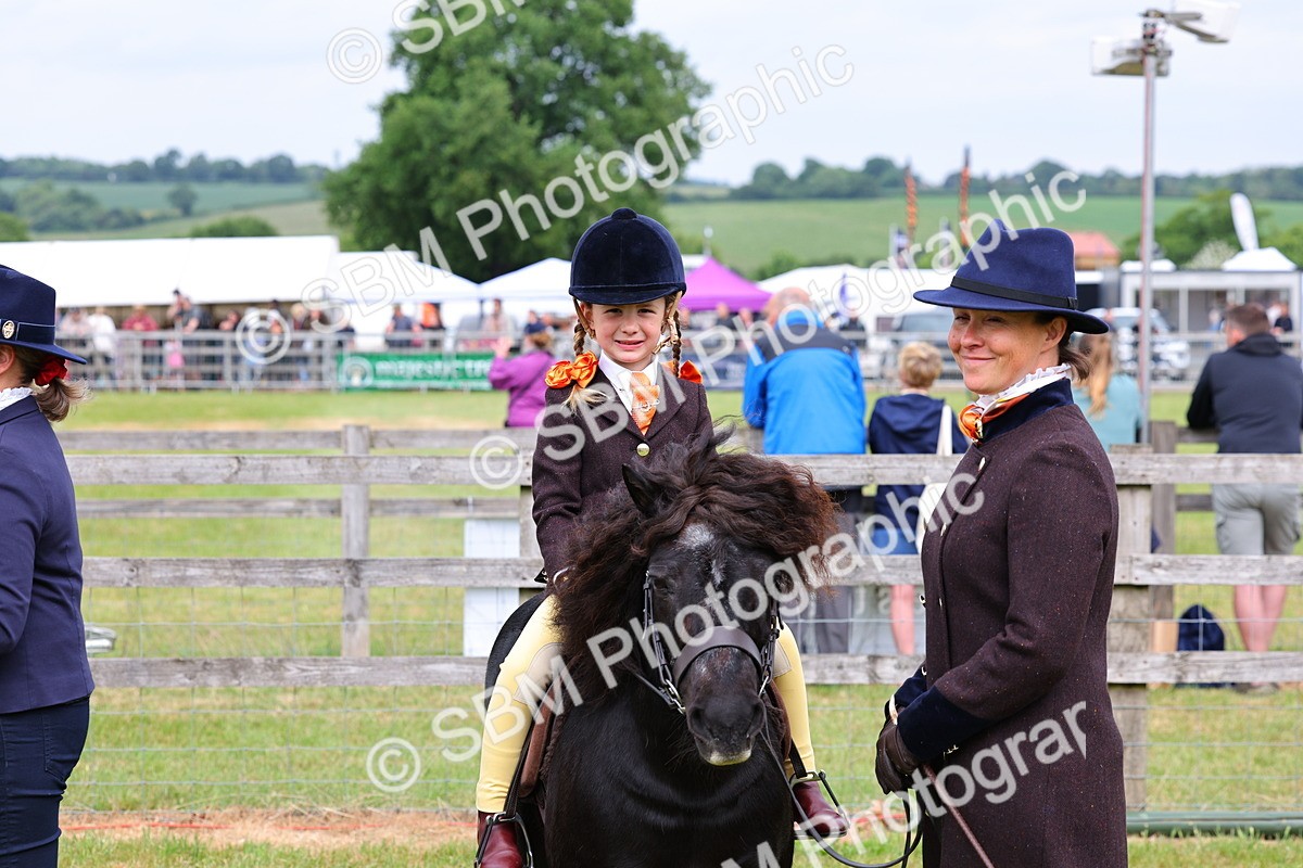 SBM_08291 - Class 42-43 - LIHS BSPS Heritage Working Sports Pony
