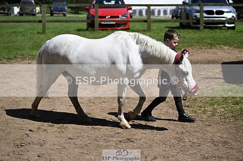 240728B-113648-00310 - Sunday Stable Shots and Fancy Dress