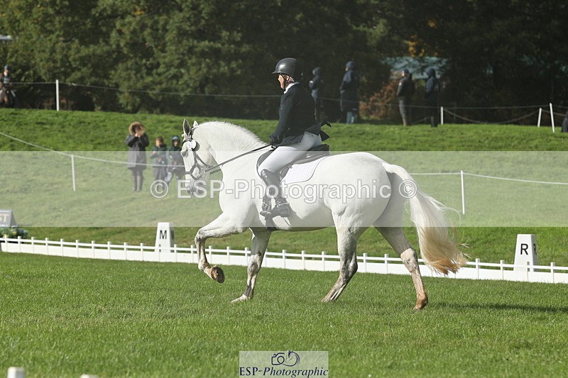 251023A-143836-05004 - G-522-Sue.Parkes Inc Trot Up