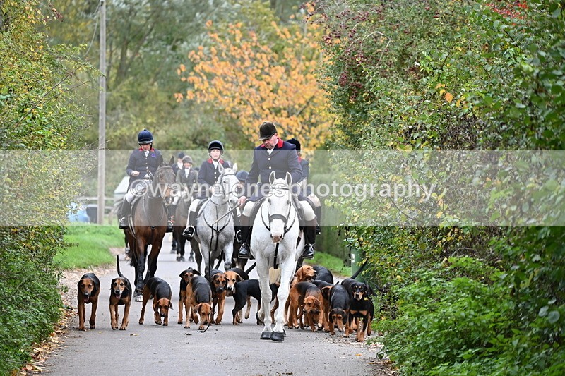 WJ6_8324 - Walk Home..