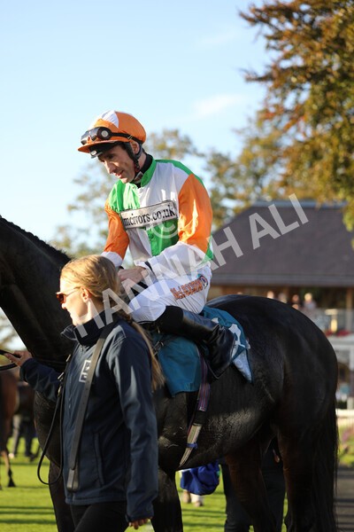 yr08102022r7-53 - Race 7 5.00pm The Coral Gets You Closer To The Action Stakes