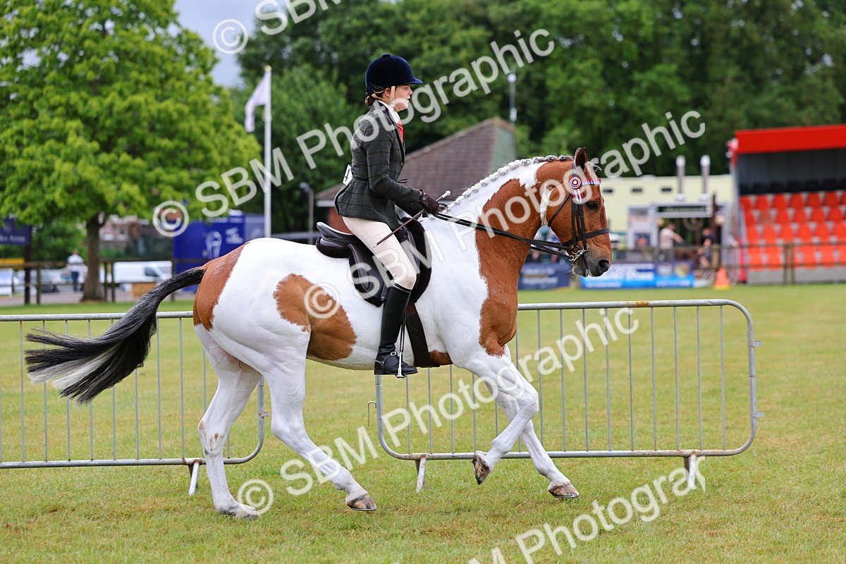 SBM_02506 - Class 9-11 Side Saddle including LIHS Rising Star Ladies Show Horse