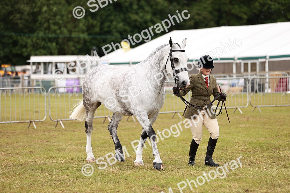 SBM_13051 - Class 85-87 - RIHS Cobs