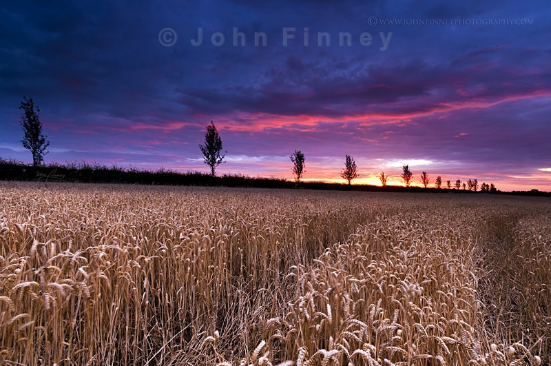 Worcester sunrise - South of England