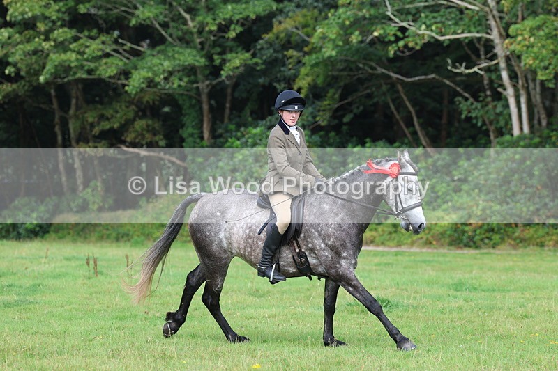 3E7A6079 - Working Hunter Championship