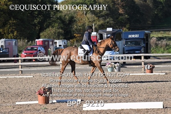 BPP_9210 - SHORT ARENA