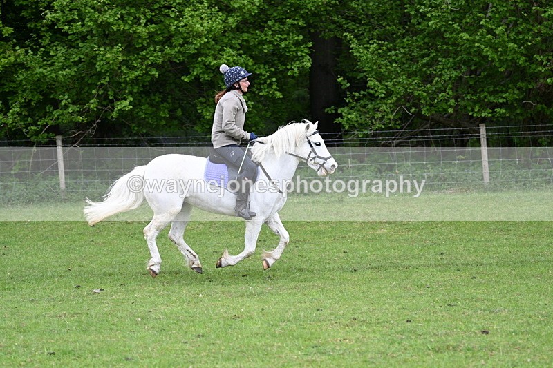 WJ7_2209 - Group 3 A&B Cameras