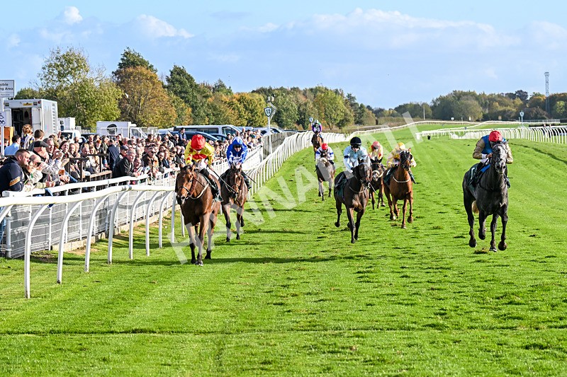 191024-Race 5-Vince Le Prince-4471 - Race 5