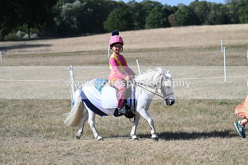 WJ7_2413 - Class 45 Fancy Dress (My Fav)