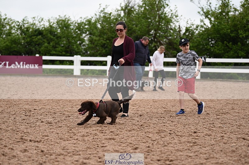 240518A-122310-01136 - Cls 4 Best Crossbred