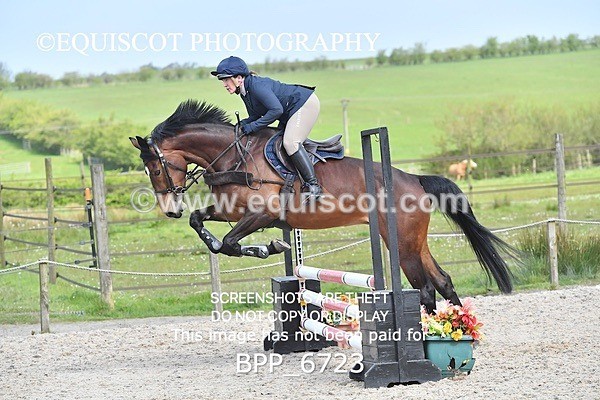 BPP_6723 - CLASS 2 FRI Club/ Unaffiliated 80cms Open