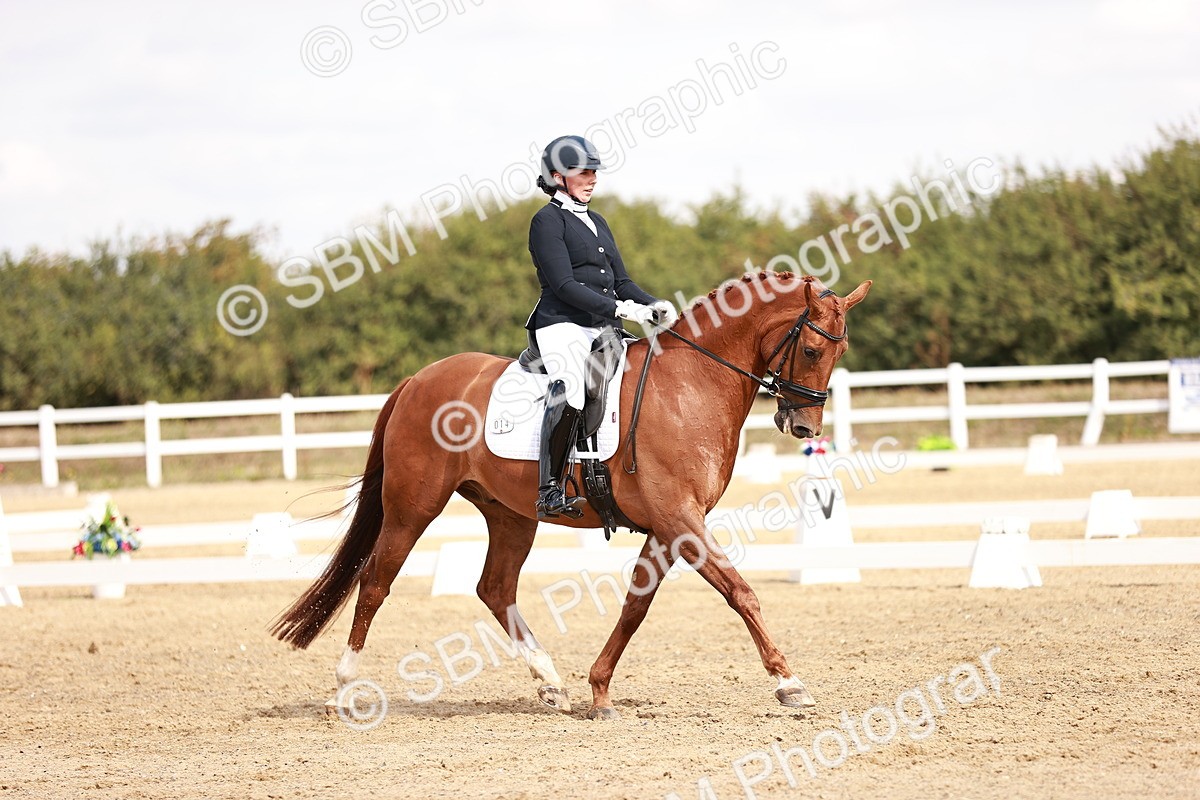 SBM_017690 - Class 11 - Advanced Medium 6