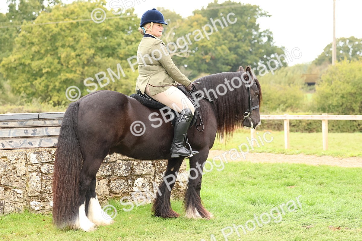 SBM_59844 - S36 - Rehabiliated Rescue Horse & Pony In Hand & Ridden