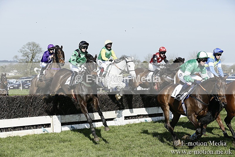 PtP 260317 242 - Mendip Farmers Point-to-Point Ston Easton 26/03/17