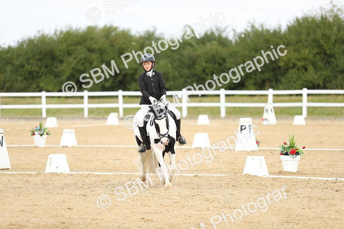 SBM_016349 - Class 13 - Novice 23 - 11.25-12.35