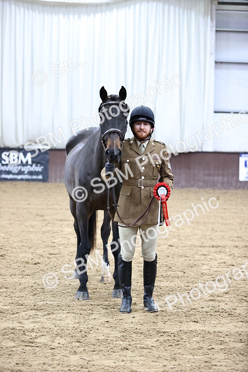 SBM_5224 - Class 39 - In Hand Gelding