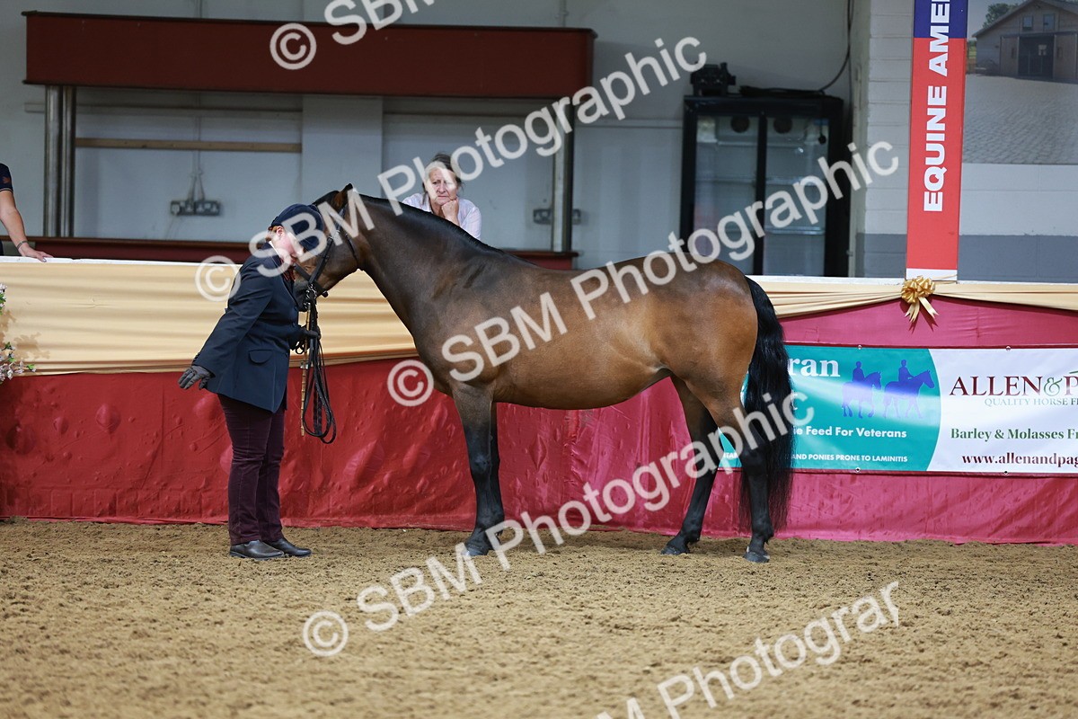 SBM_17351 - Class 951 - M&M IH Supreme Final