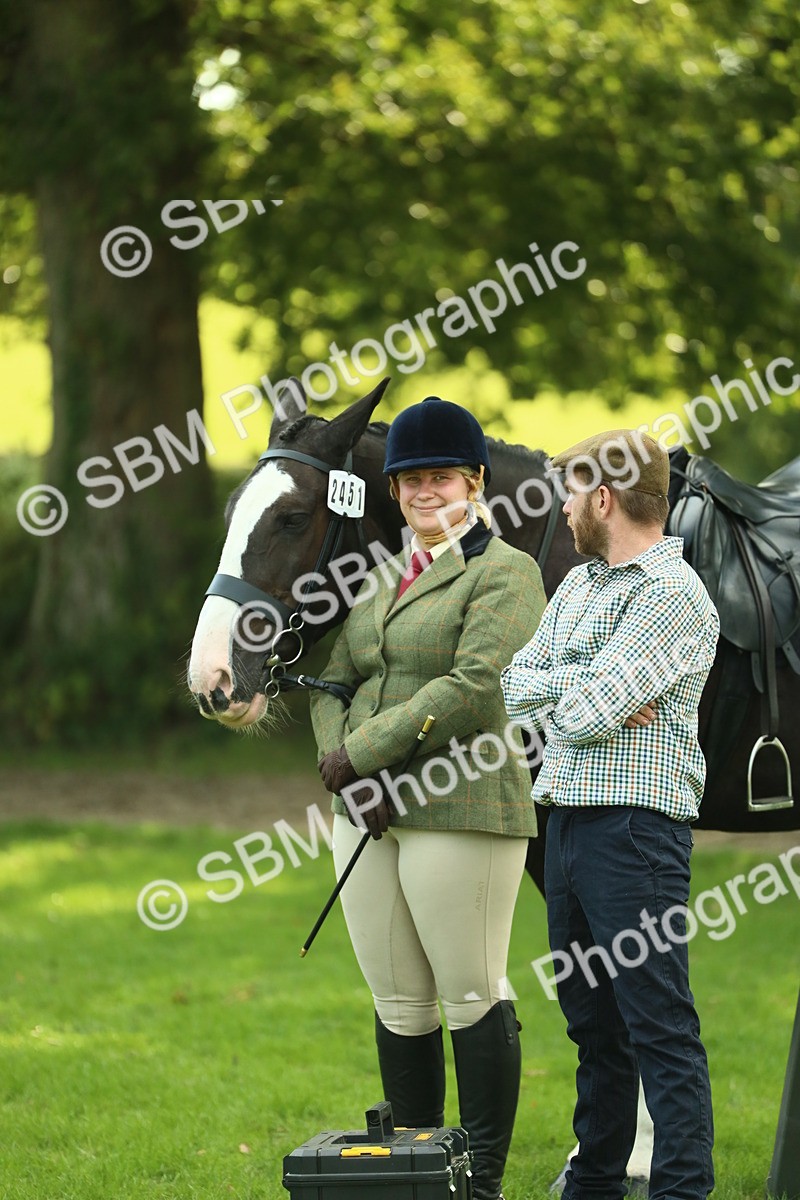 SBM_52144 - S33 - Working Hunter & Working Show Horse