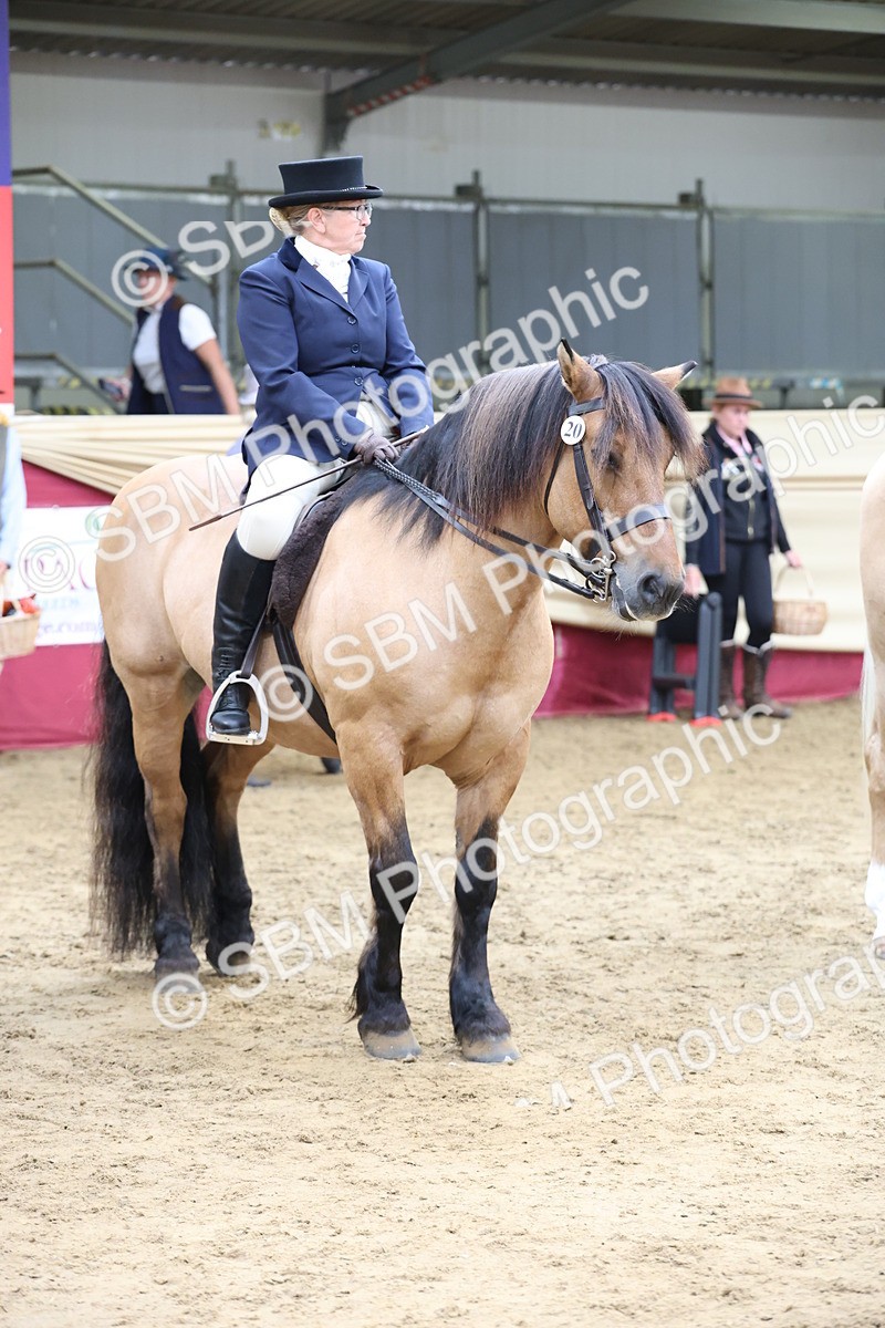 SBM_24069 - Class 905 - Supreme Final - Ridden Veteran