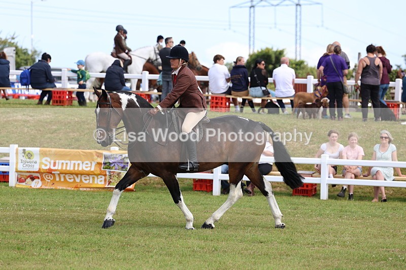 3E7A9969 - Class 5: Rising Star Lightweight/Heavyweight Cobs