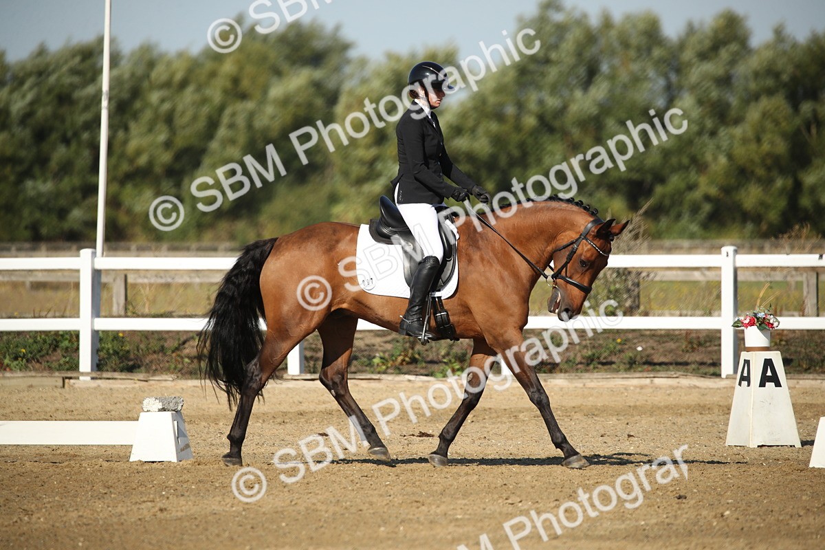 SBM_004558 - Class 11 - Novice 5 - 9.0010.03