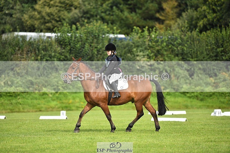 230826-101728-15431 - Sections C & D 10 to End