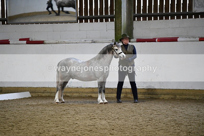WJ5_5186 - Class 4 In hand M&M - small breeds