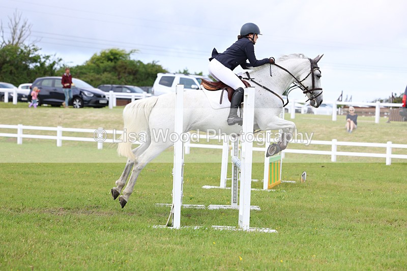 3E7A7365 - Class 13: Senior British Novice/90cm open