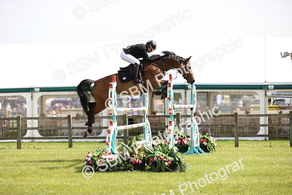SBM_03099 - Class 201 - British Horse Feedds Speedi Beet HOYS Grade C