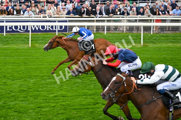 200825-Race 6-Star Of Mehmas-2007 - Race 6 4.45pm IRE-Incentive, It Pays To Buy Irish Fillies' Handicap