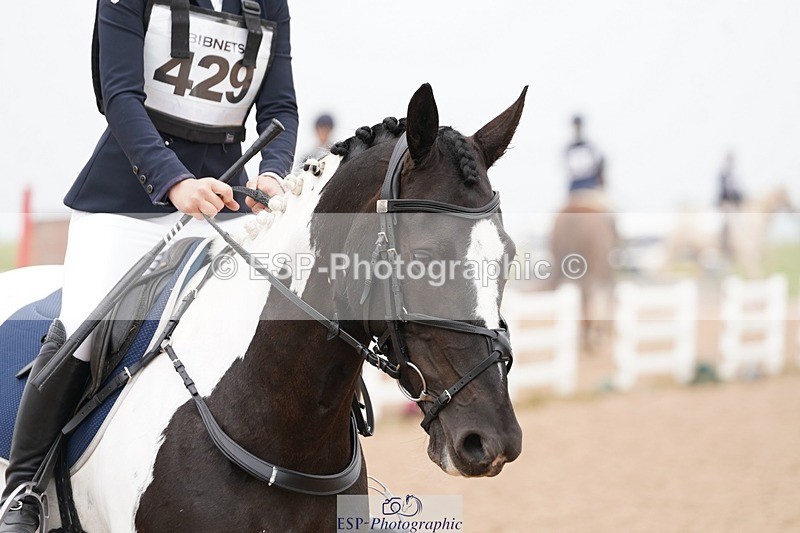 240901A-092522-05355 - 429-Maisie.Jenssen-CAPPA.RATHMORRISSEY.LADY.GERTRUDE