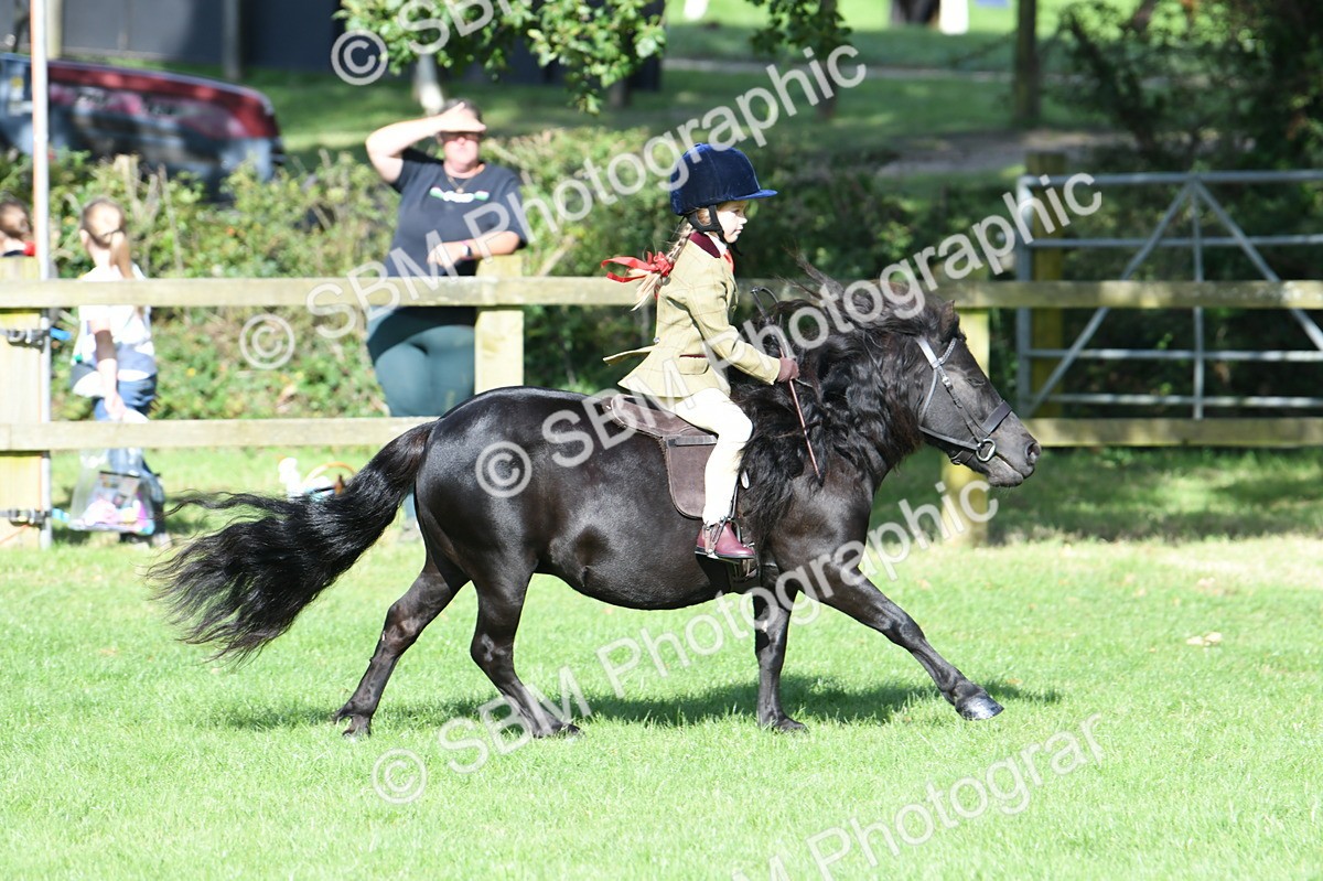 SBM_50324 - S21 - Novice & Newcomers 1st Ridden Pony