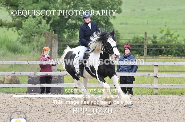 BPP_0270 - 31 E WYLLIE