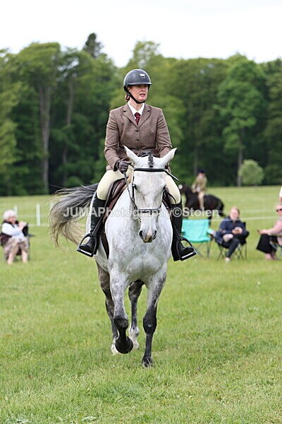 IMG_2832 - Working Hunter