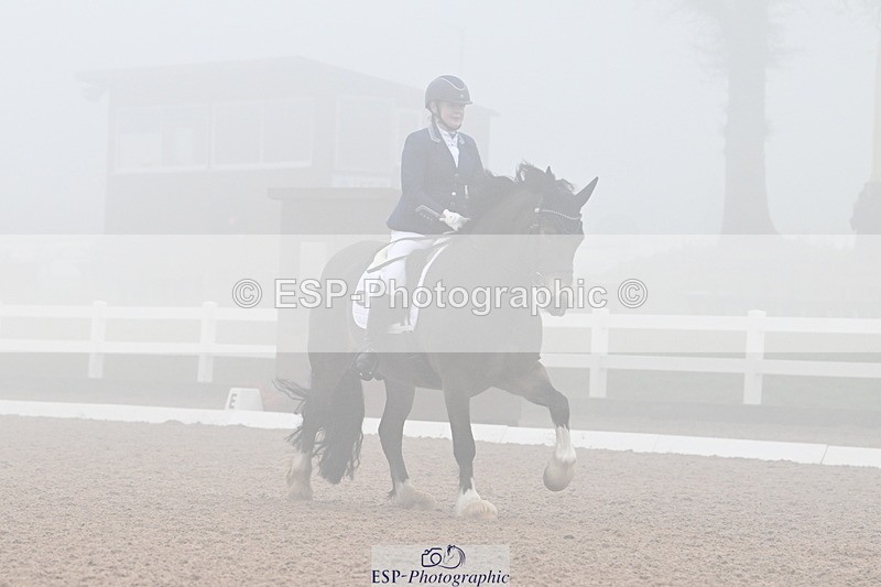 240217A-125703-02719 - 251-Alison.Crimp-Crwys.Beau