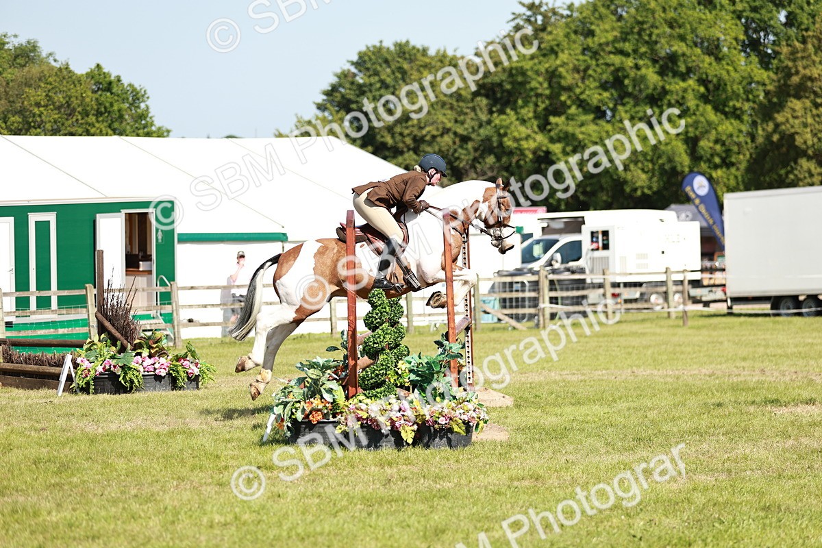 SBM_18800 - Class 114 - RIHS & SEIB Open Working Show Horse