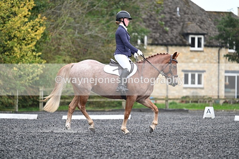 WJ7_3306 - Time 09:54 to 10:54