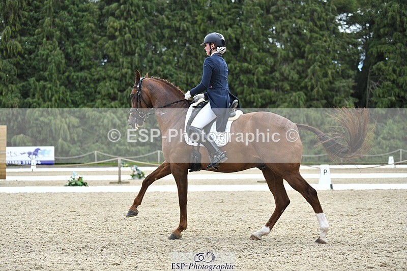 230812-141144-04631 - Cls 7 FEI PSG Bronze